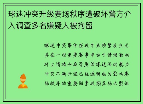 球迷冲突升级赛场秩序遭破坏警方介入调查多名嫌疑人被拘留